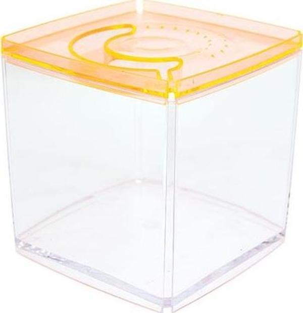 Ista Stylish Display Case - Kare Tank - Turuncu - Image 1