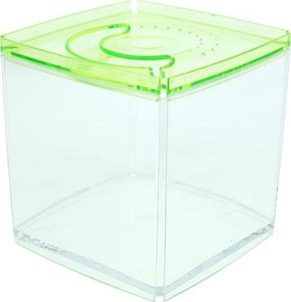 Ista Stylish Display Case - Kare Tank - Yeşil - Image 1