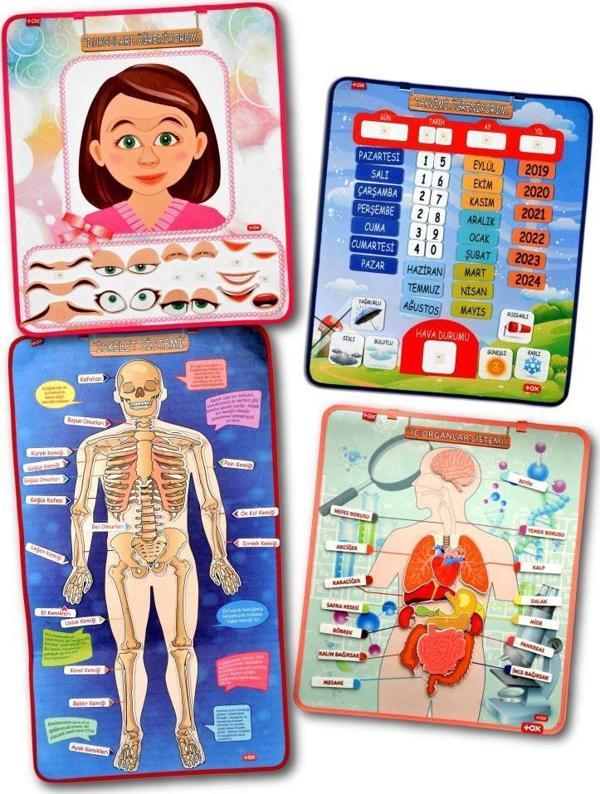 4 Set  127 Parça  İskelet , İç Organlar Sistemi , Takvim ve Duyguları Öğreniyorum Keçe Cırtlı Duvar Panoları , Eğitici O - Image 1