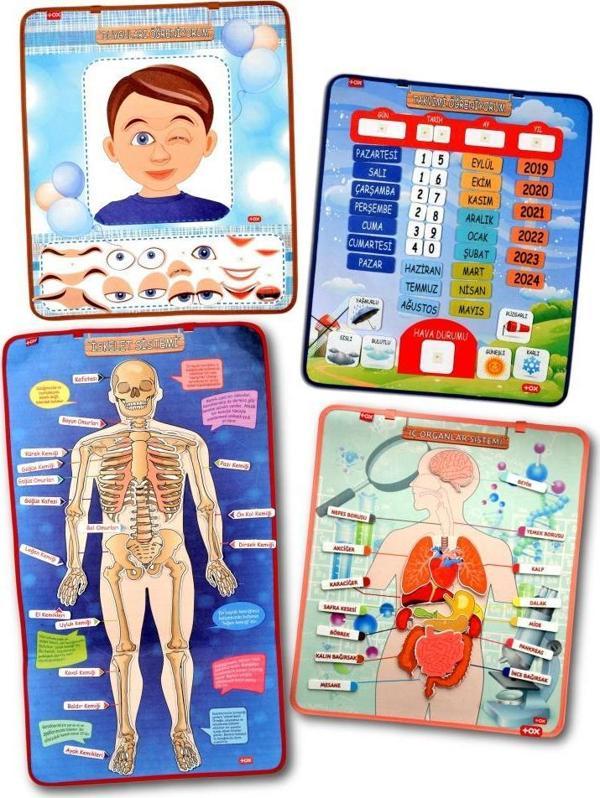 4 Set  127 Parça  İskelet , İç Organlar Sistemi , Takvim ve Duyguları Öğreniyorum Keçe Cırtlı Duvar Panoları , Eğitici O - Image 1