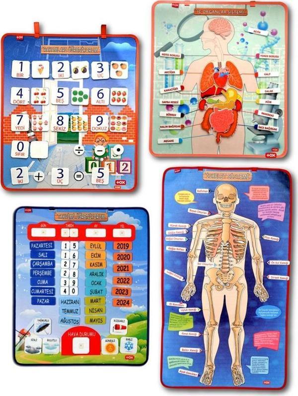 4 Set - 151 Parça  İskelet , İç Organlar Sistemi , Takvim ve Rakamları Öğreniyorum Keçe Cırtlı Duvar Panoları , Eğitici  - Image 1