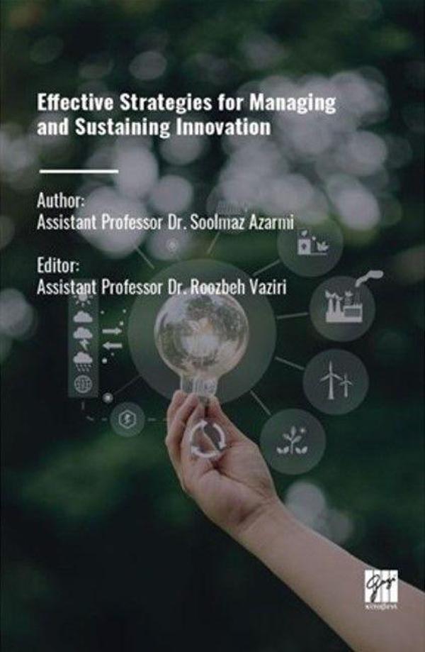 Effective Strategies For Managing And Sustaining Innovation - Gazi Kitabevi - Image 1