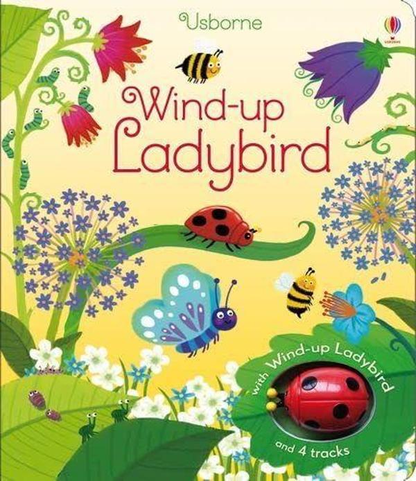 Wind-up Ladybird - Usborne - Image 1