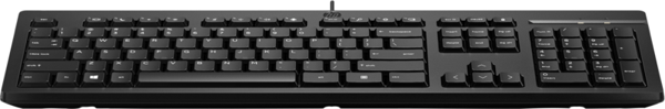 Hp 125 266C9Aa Usb Kablolu Klavye Siyah - Image 1