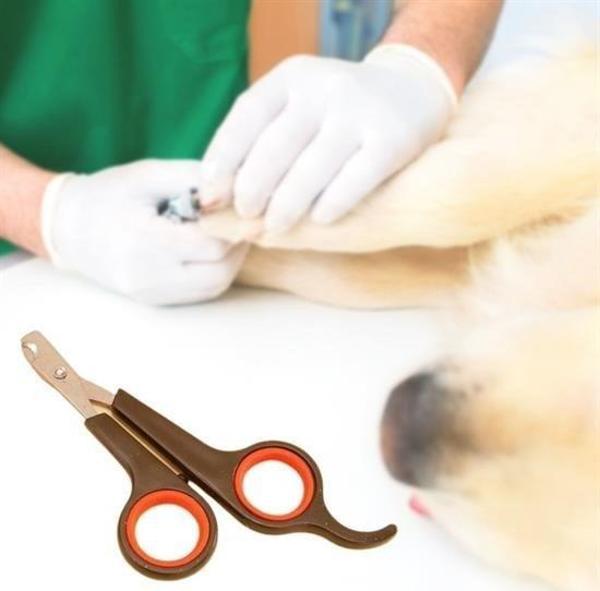 Küçük Çelik Uçlu Kedi Köpek Evcil Hayvan Tırnak Makası Pati Bakım Aleti Ergonomik Kaymaz Sap - Image 1