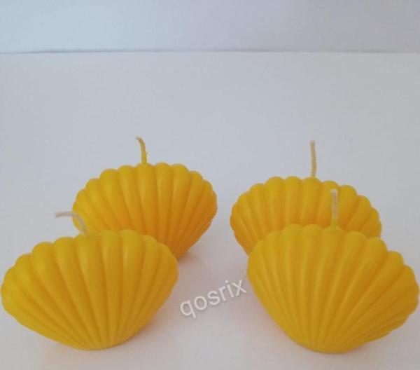 4'lü Sarı Mini İstiridye Deniz Kabuğu 1. Kalite Doğal Kokulu Mum Dekoratif - Image 1