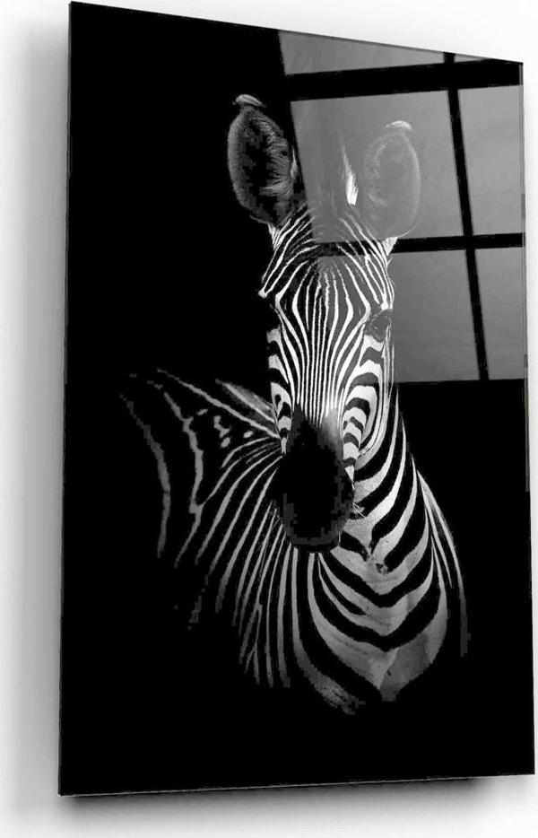 Zebra Cam Tablo | Hediyelik, Dekoratif, Ofis, Mutfak  - Image 1