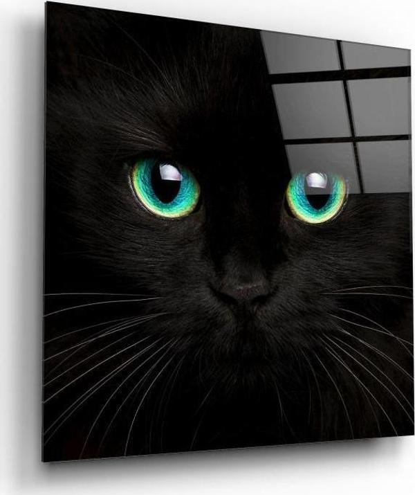 Kedi Cam Tablo | Hediyelik, Dekoratif, Ofis, Mutfak  - Image 1