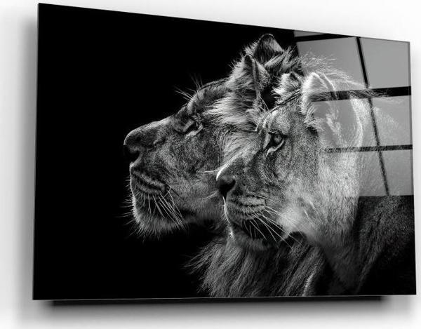 Aslan Cam Tablo | Hediyelik, Dekoratif, Ofis, Mutfak  - Image 1