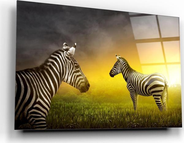 Zebra Cam Tablo | Hediyelik, Dekoratif, Ofis, Mutfak  - Image 1
