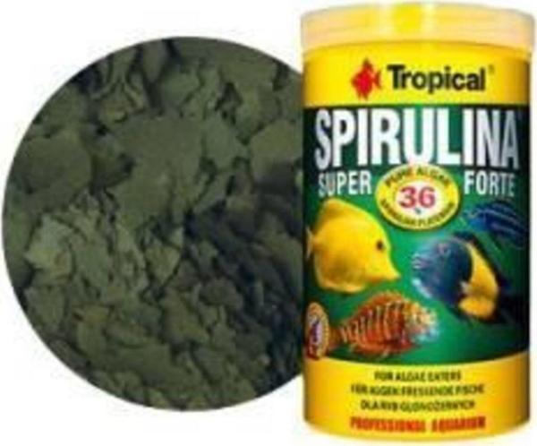 Tropical Spirulina Super Forte Pul 100Gr. - Image 1