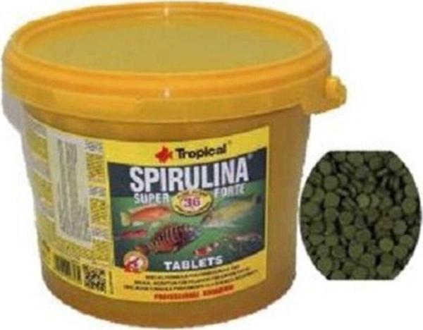 Tropical Super Spirulina Forte Tablet 250 Adet - Image 1
