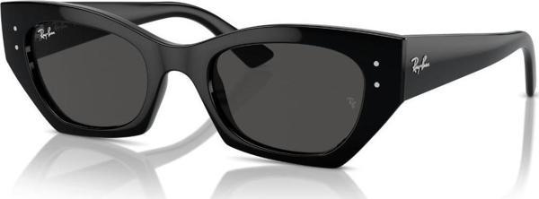Ray-Ban 0RB4430 66778749  Enjeksiyon Unısex Güneş Gözlüğü - Image 1