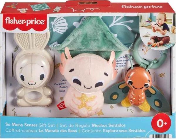 Fisher-Price Oyuncak Duyuları Harekete Geçiren Oyun Seti HRB17 - Image 1