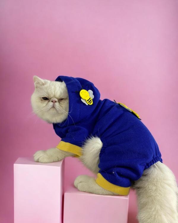 Navy Bee Kedi Tulumu Kedi Kıyafeti - Image 1
