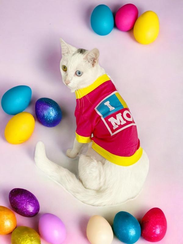 Annelere Hediye, Hediye Paketli, I Love Mom Pink, Oval Yaka Tişört Kedi Kıyafeti,Elbisesi Anneler Günü, Anne - Image 1