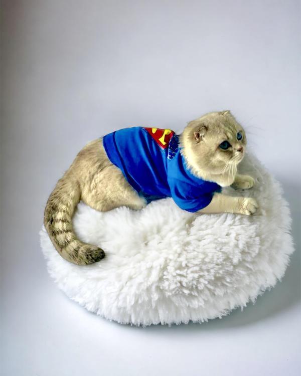 Cat Superman Kedi Tişört (XSmall 1,5 - 2,5 Kg için) - Image 1