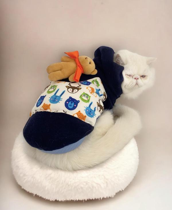 Cat Teddy Roo Kapşonlu Kedi Sweatshirt  (X_Large 4,5 - 6 Kg )  - Image 1