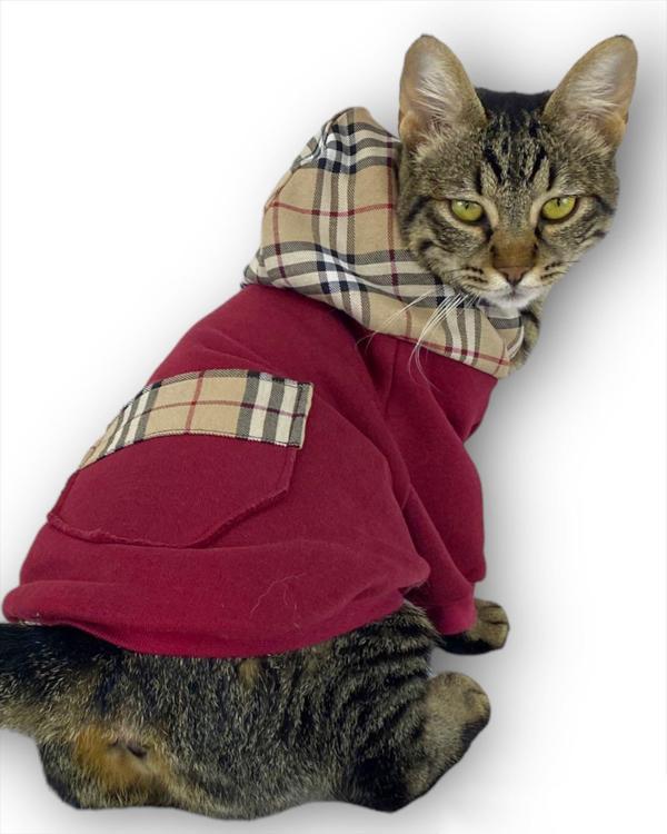 Bb Limited Bordo Duo Kapşonlu Kedi Sweatshirt - Image 1