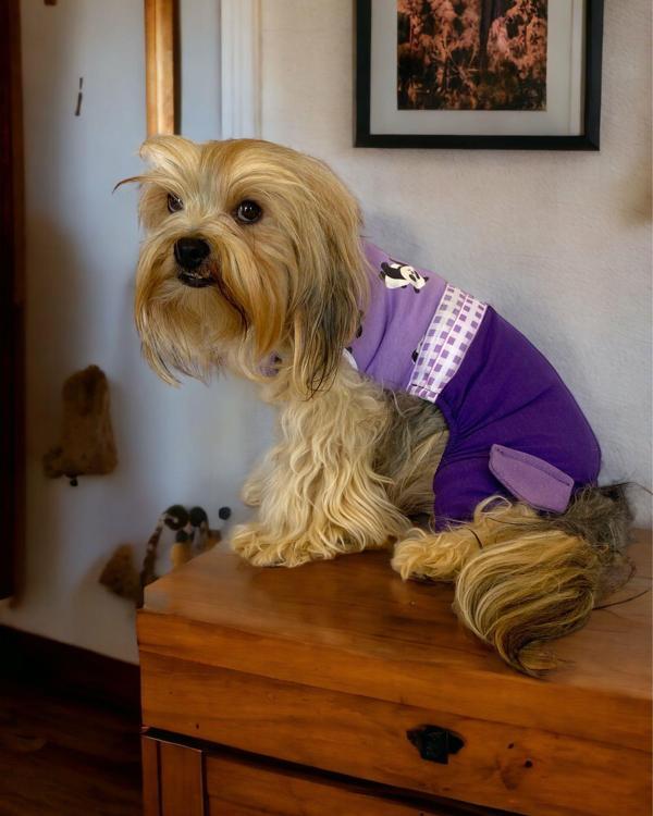 Chique Purple Duo Panda Tulum Köpek Kıyafeti - Image 1