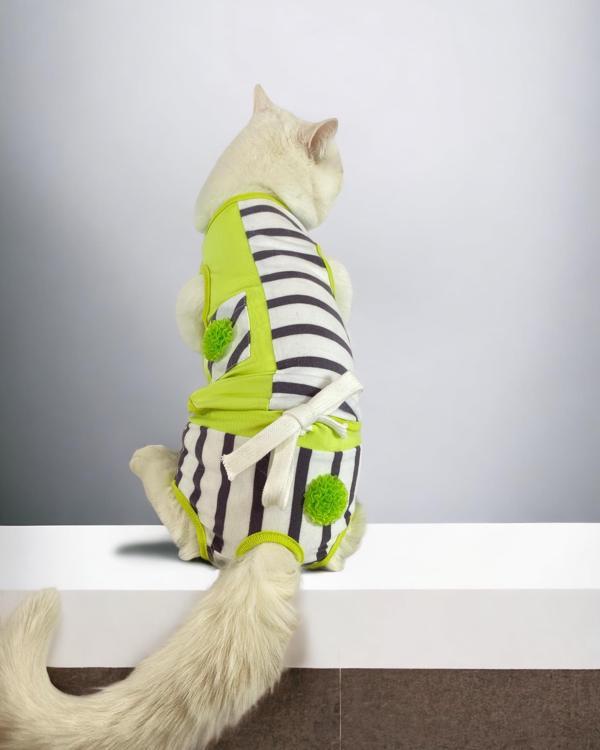 Lime Fuzz Tişört ve İç Çamaşırı Set Kedi Kıyafeti Kedi Kostümü - Image 1