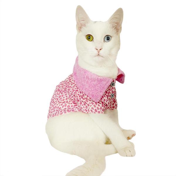 Pink Leo Cutie Polo Yaka Tişört Kedi Kıyafeti  Kedi Elbisesi - Image 1