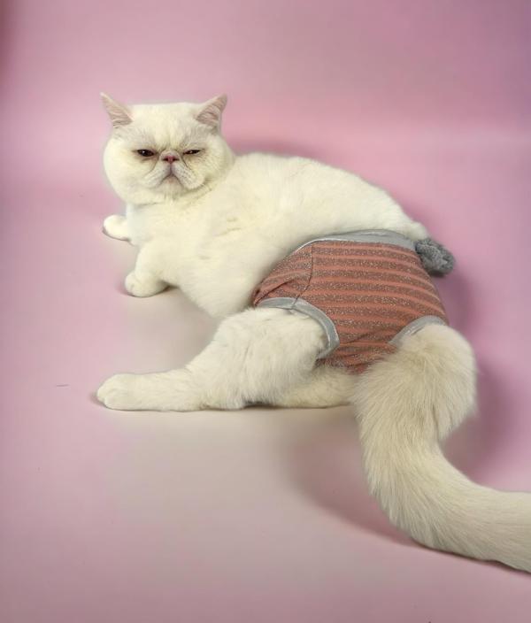 Pink Shine Kemique's Secret Kedi İç Çamaşırı  Regl Külot  Don - Image 1