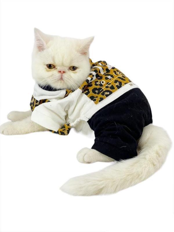 Diesel Leo Kedi Tulumu Kedi Elbisesi - Image 1