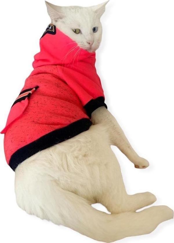 Pink Stars Kapşonlu Sweatshirt  Kedi Kıyafeti  - Image 1