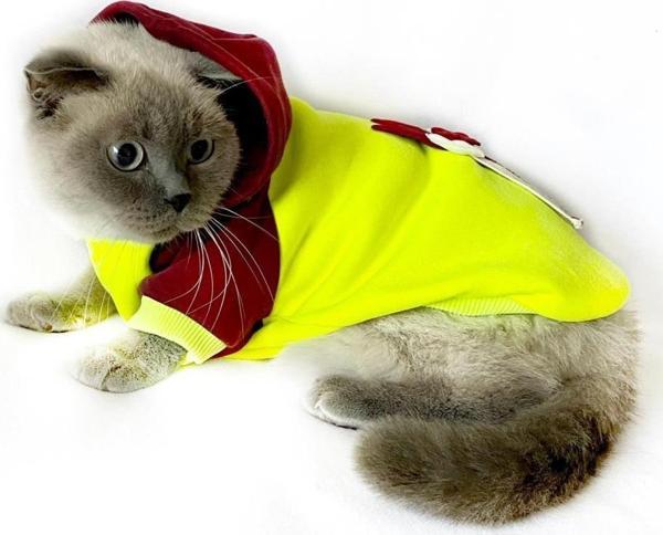Bunny Bordo Fosfor Kapsonlu Sweatshirt Kedi Süeteri Kedi Kıyafeti  - Image 1