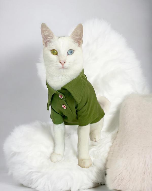 Grass Green Kedi Gömleği Kedi Kıyafeti  Kedi Elbisesi - Image 1