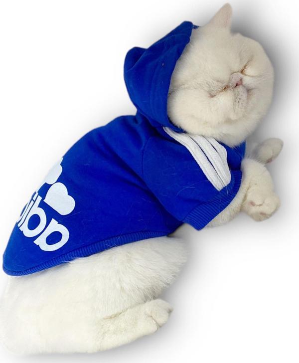 Saks mavi Adidog Kapşonlu Kedi Sweatshirt Kedi Kazağı Duo - Image 1