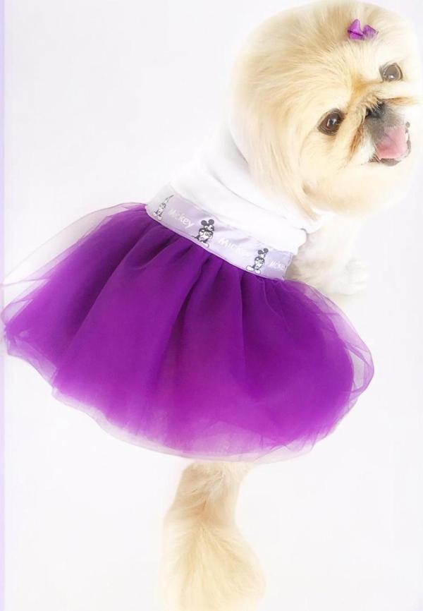 Eflatun Sevimli Fare Tütülü Köpek Elbisesi,  Kıyafeti Tutu - Image 1