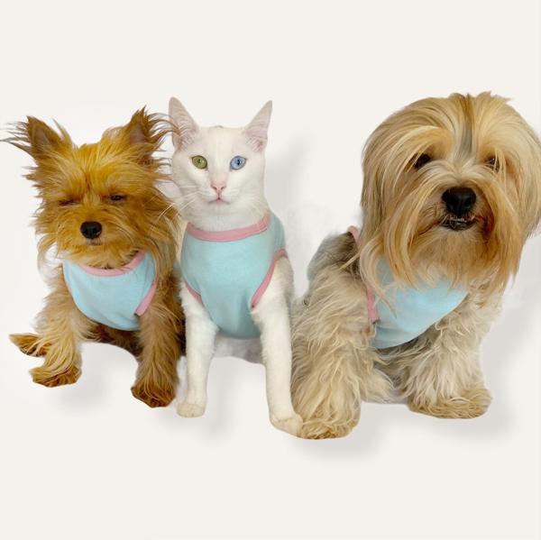 Minty Flower Power  Atlet by Kemique Köpek Kıyafeti Köpek Elbise - Image 1