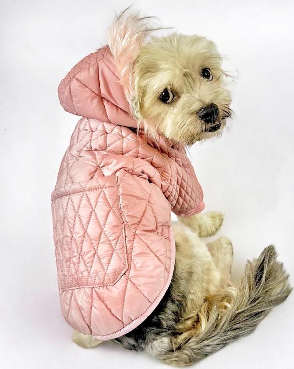 Pink Comfie Köpek Montu, Köpek Ceketi, Köpek Dış Giyim - Image 1