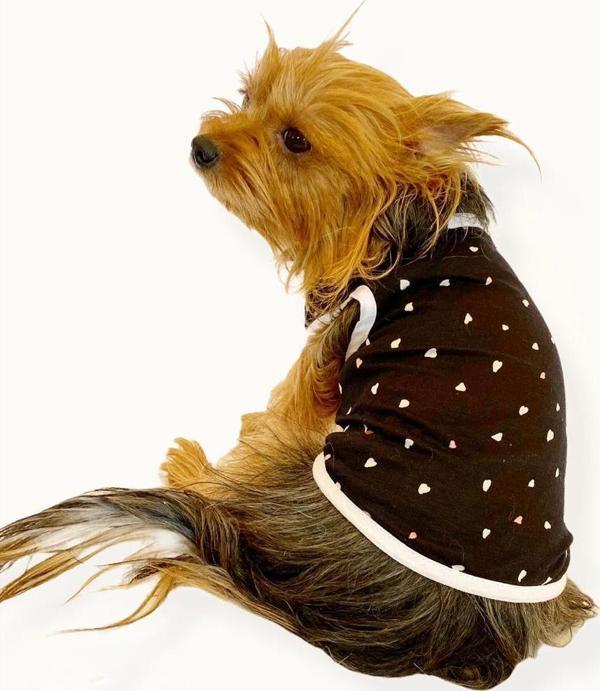 Black Hearts Atlet by Kemique Köpek Kıyafeti Köpek Elbise - Image 1