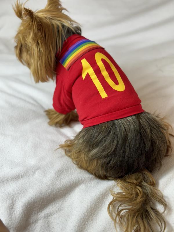 Uno Red Köpek Tişörtü - Image 1