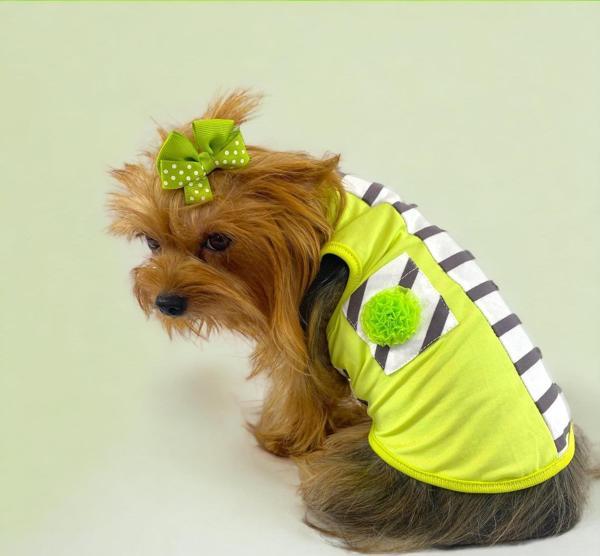 Lime Fuzz Atlet Köpek Kıyafeti  Köpek Elbisesi - Image 1