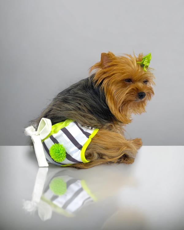Lime Fuzz Kemique's Secret Köpek İç Çamaşırı Regl Külot Don - Image 1