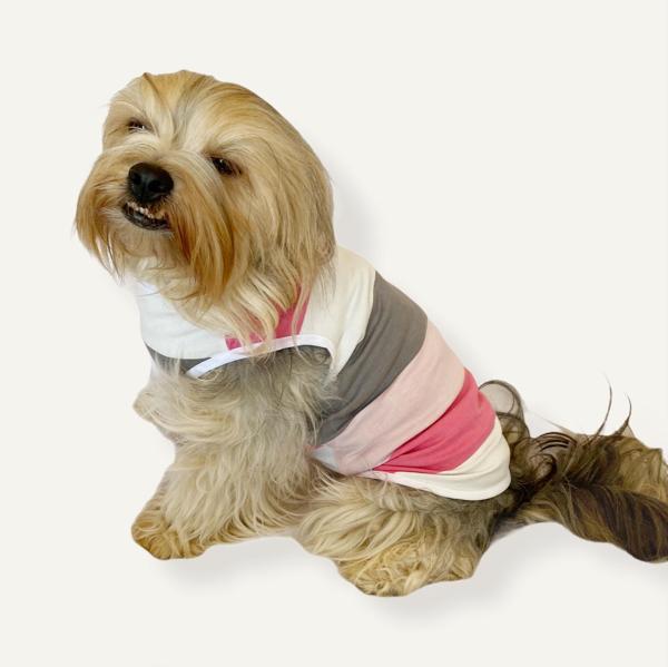 Mega Stripes Atlet by Kemique Köpek Kıyafeti  Köpek Elbise - Image 1