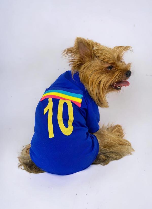 Uno Blue Köpek Tişörtü - Image 1