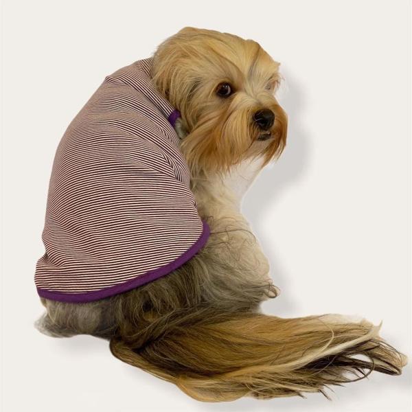 Purple Stripe by Kemique  Köpek Kıyafeti Köpek Elbise - Image 1