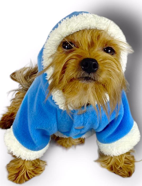 Blue Furry Kapşonlu Ceket Sweat by Kemique Köpek Kazağı  - Image 1