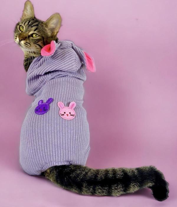 Sweet Bunnyy Kulaklı Kedi Tulumu, Kedi Kıyafeti - Image 1