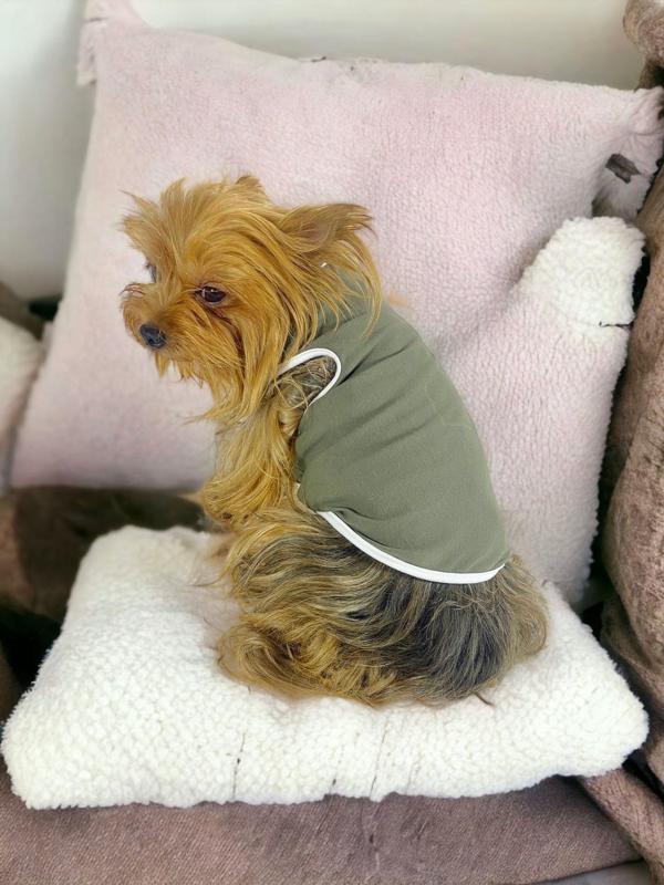 Midnight Green Atlet Köpek Kıyafeti  Köpek Elbisesi - Image 1