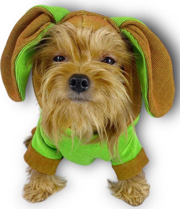 Froggy Kulaklı Köpek Tulumu Kıyafeti - Image 1