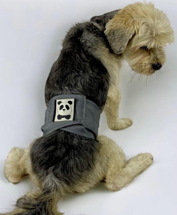 Köpek Çiş Bel Bandı Yıkanabilir Sızdırmaz Köpek Kıyafeti - Image 1
