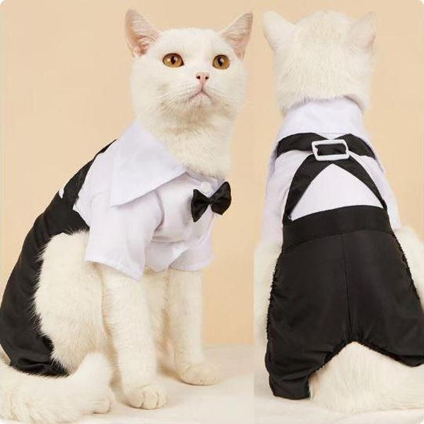 Tuxedo Smokin Kedi Kıyafeti Damatlık - Image 1