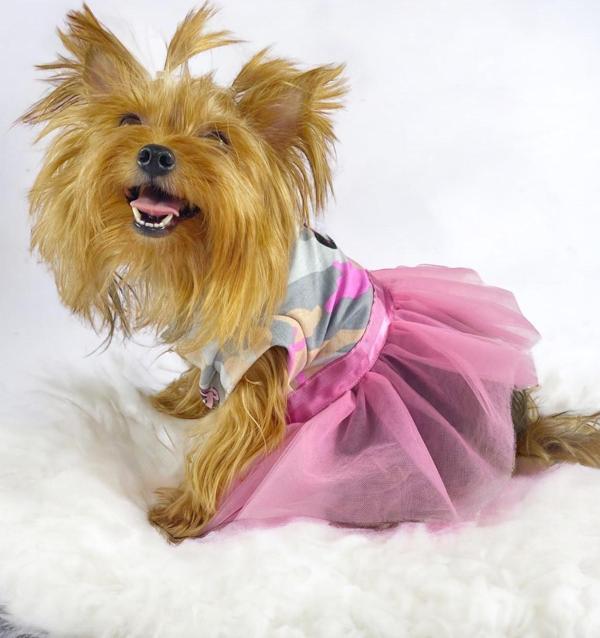 Pinky Minnie Tütülü Köpek Elbisesi, Kıyafeti Tutu - Image 1