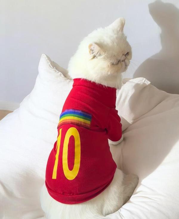 Uno Red Kedi Tişört  - Image 1